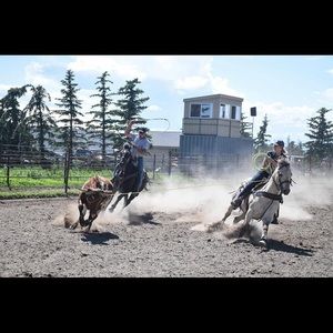 Meet your Posher, Karen